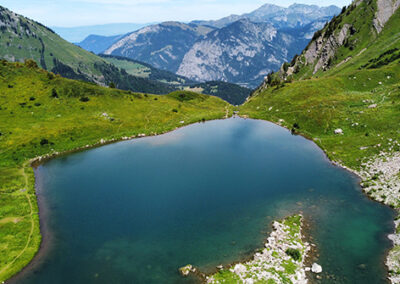 lac tavaneuse