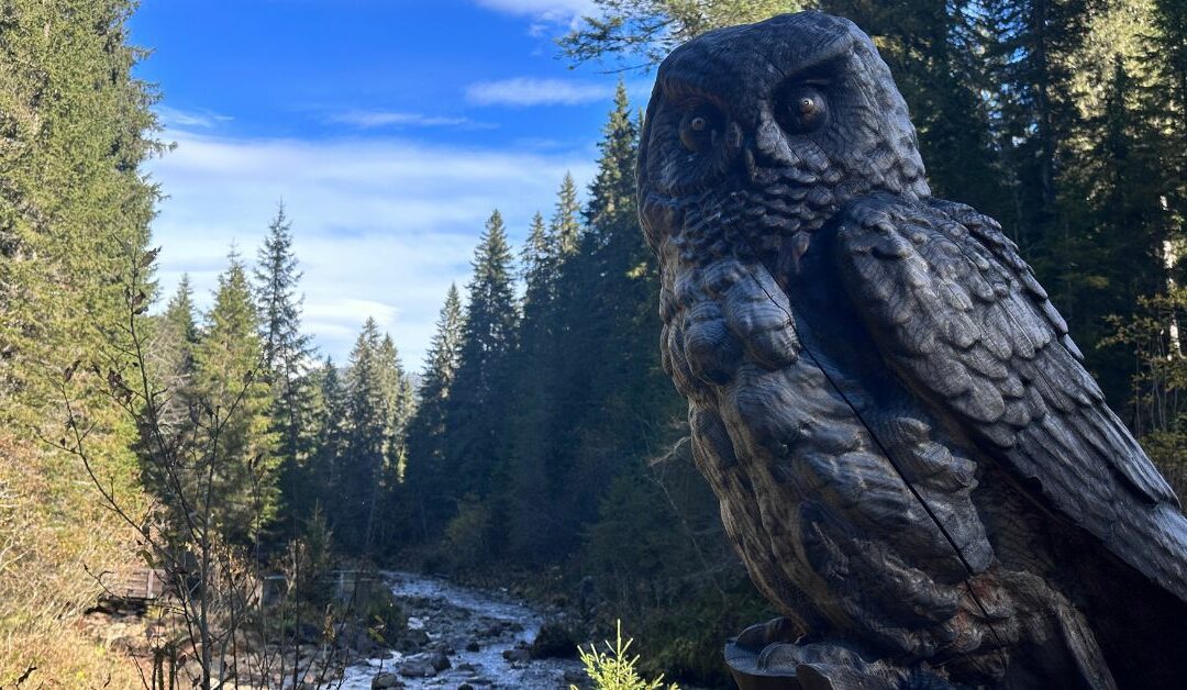 Le Chemin des Ponts au départ de Morgins