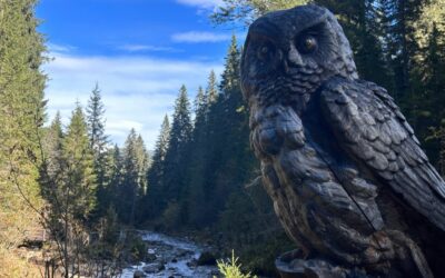 Le Chemin des Ponts au départ de Morgins