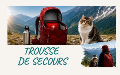 Trousse de secours : les indispensables à glisser dans son sac à dos